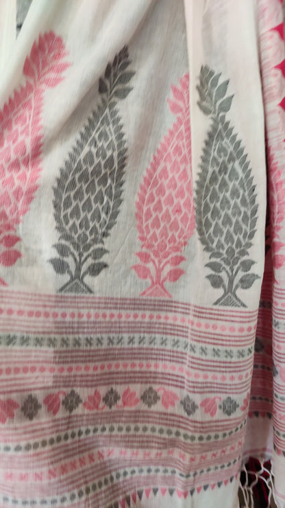 Ishira – Off White Fine Cotton Saree