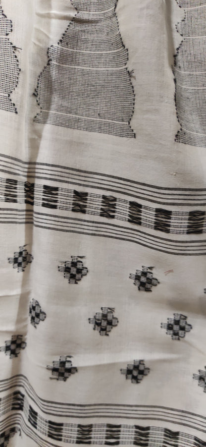 Devika – Shwet Rekha Cotton Handloom Saree