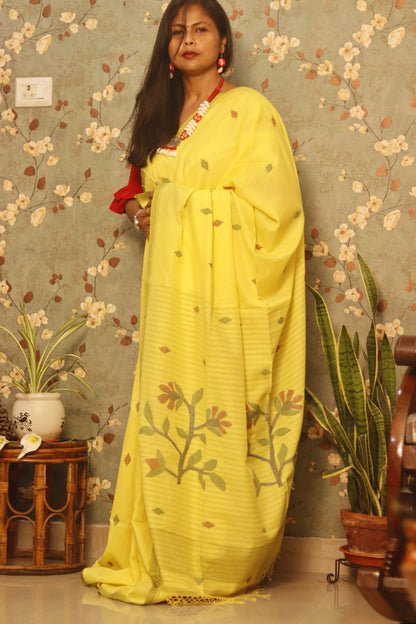 Vernika – Surya Komal